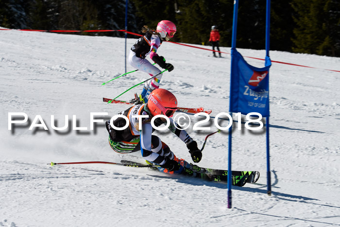 Ziener Cup WF, Finale, Quali + Parallelslalom, 24.03.2018