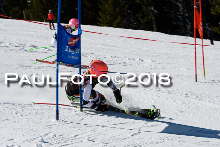 Ziener Cup WF, Finale, Quali + Parallelslalom, 24.03.2018