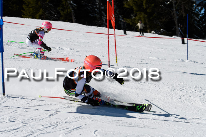 Ziener Cup WF, Finale, Quali + Parallelslalom, 24.03.2018