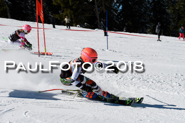 Ziener Cup WF, Finale, Quali + Parallelslalom, 24.03.2018