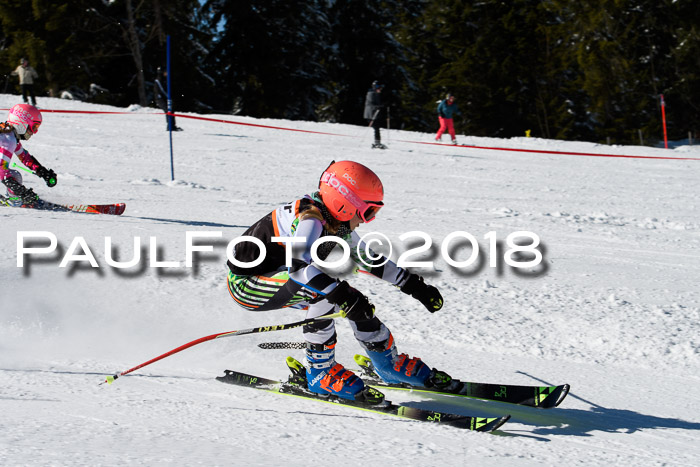 Ziener Cup WF, Finale, Quali + Parallelslalom, 24.03.2018
