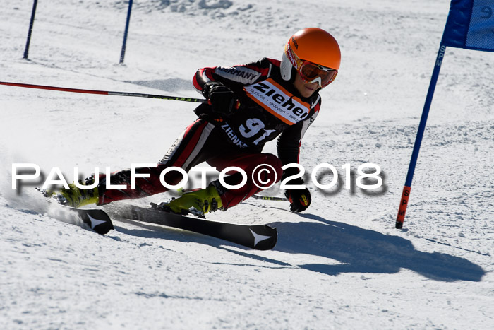 Ziener Cup WF, Finale, Quali + Parallelslalom, 24.03.2018