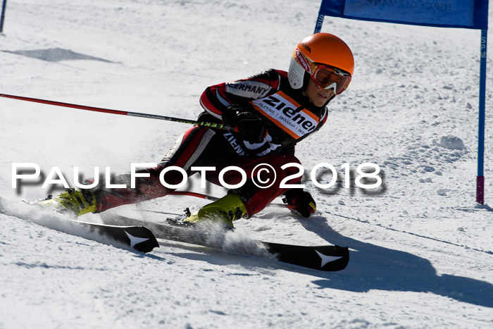 Ziener Cup WF, Finale, Quali + Parallelslalom, 24.03.2018