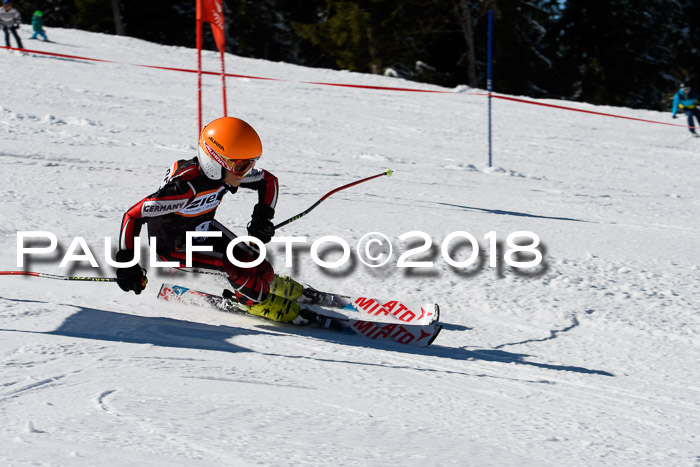 Ziener Cup WF, Finale, Quali + Parallelslalom, 24.03.2018