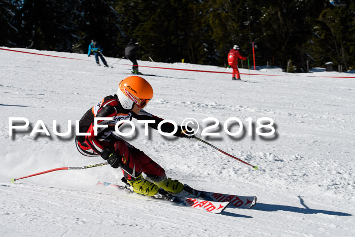 Ziener Cup WF, Finale, Quali + Parallelslalom, 24.03.2018
