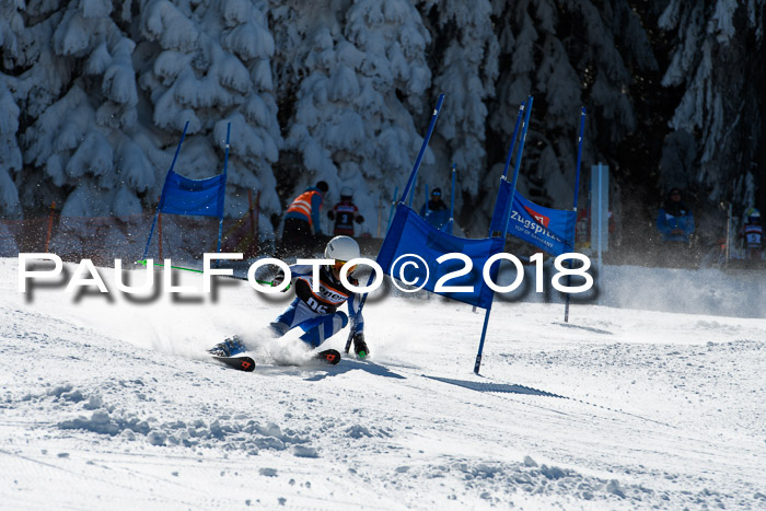 Ziener Cup WF, Finale, Quali + Parallelslalom, 24.03.2018