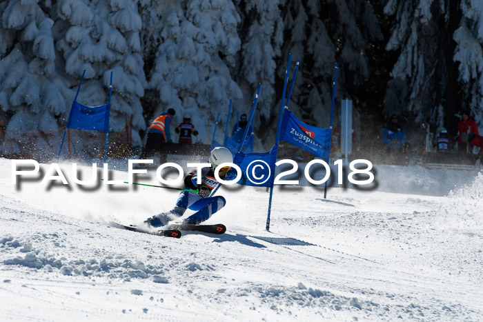 Ziener Cup WF, Finale, Quali + Parallelslalom, 24.03.2018