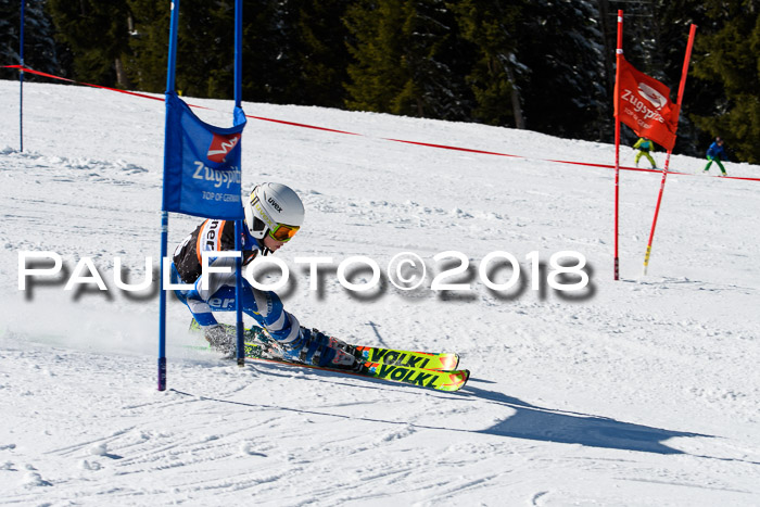 Ziener Cup WF, Finale, Quali + Parallelslalom, 24.03.2018