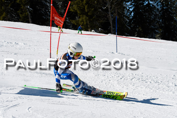 Ziener Cup WF, Finale, Quali + Parallelslalom, 24.03.2018