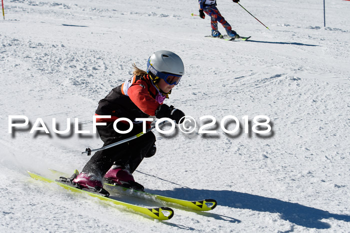 Ziener Cup WF, Finale, Quali + Parallelslalom, 24.03.2018