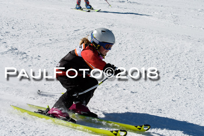 Ziener Cup WF, Finale, Quali + Parallelslalom, 24.03.2018