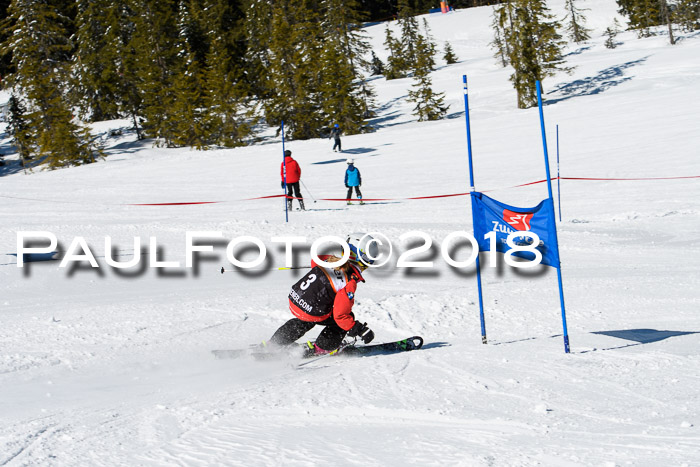 Ziener Cup WF, Finale, Quali + Parallelslalom, 24.03.2018