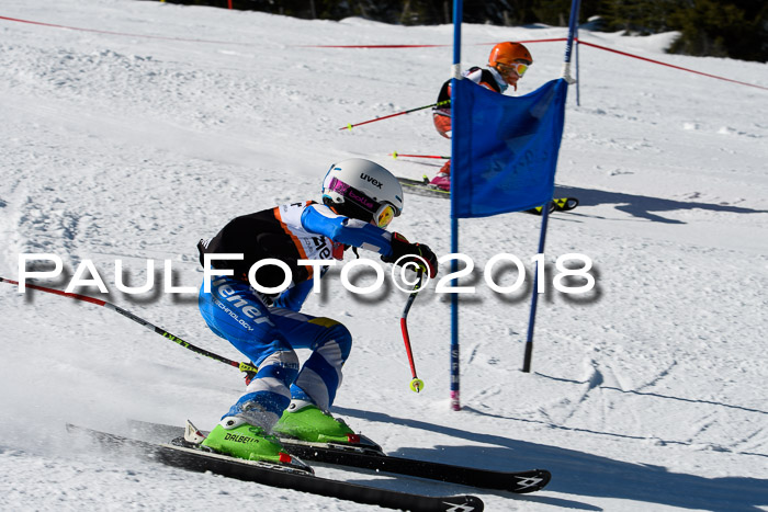 Ziener Cup WF, Finale, Quali + Parallelslalom, 24.03.2018