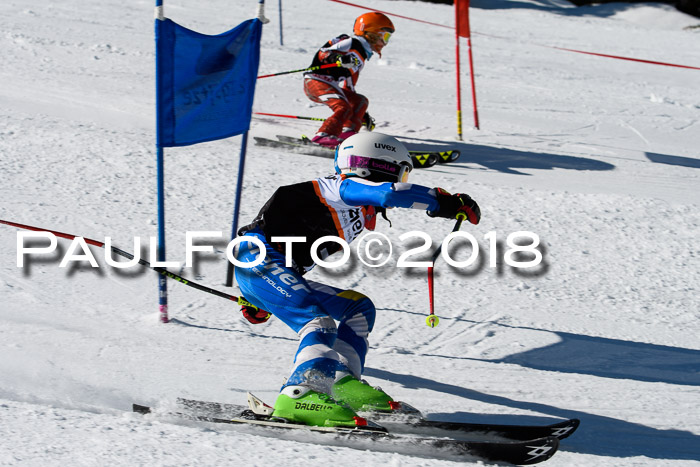 Ziener Cup WF, Finale, Quali + Parallelslalom, 24.03.2018