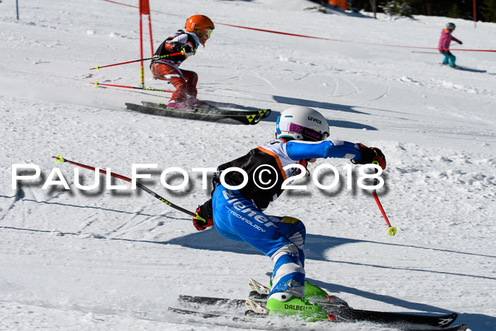 Ziener Cup WF, Finale, Quali + Parallelslalom, 24.03.2018