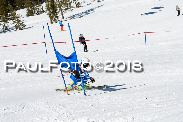 Ziener Cup WF, Finale, Quali + Parallelslalom, 24.03.2018