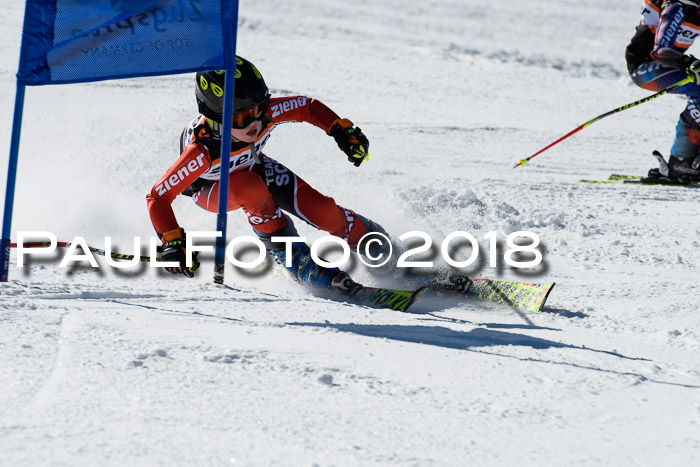 Ziener Cup WF, Finale, Quali + Parallelslalom, 24.03.2018