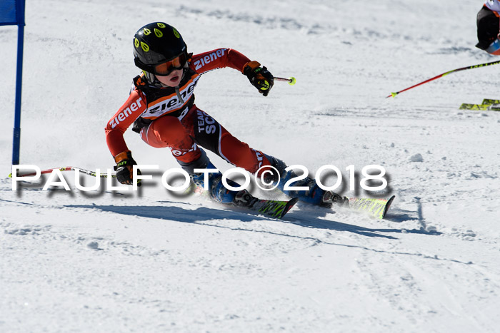 Ziener Cup WF, Finale, Quali + Parallelslalom, 24.03.2018