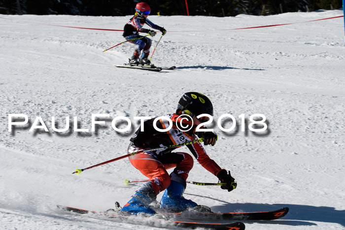 Ziener Cup WF, Finale, Quali + Parallelslalom, 24.03.2018