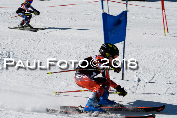 Ziener Cup WF, Finale, Quali + Parallelslalom, 24.03.2018
