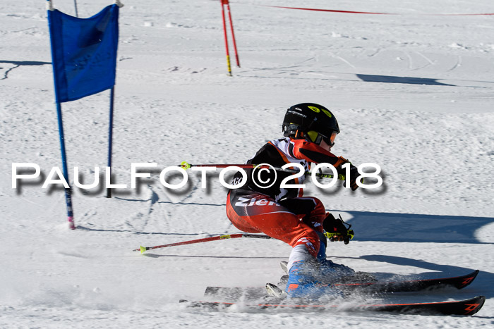 Ziener Cup WF, Finale, Quali + Parallelslalom, 24.03.2018