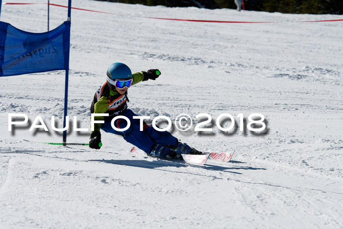 Ziener Cup WF, Finale, Quali + Parallelslalom, 24.03.2018