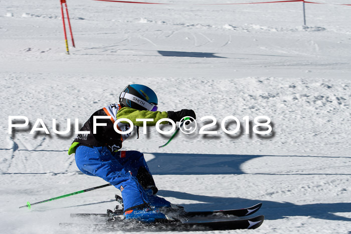 Ziener Cup WF, Finale, Quali + Parallelslalom, 24.03.2018