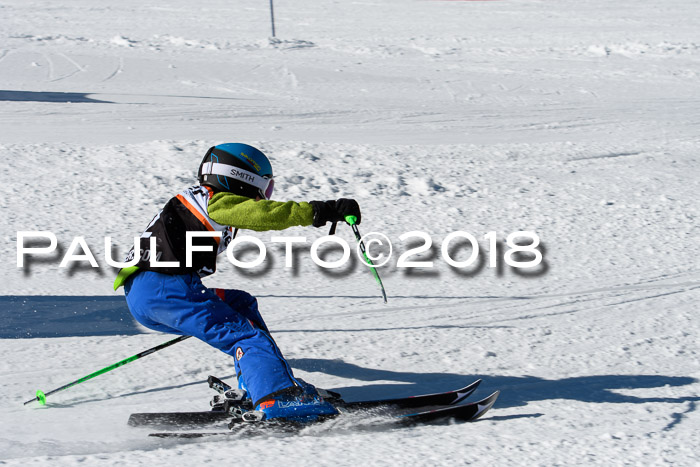 Ziener Cup WF, Finale, Quali + Parallelslalom, 24.03.2018
