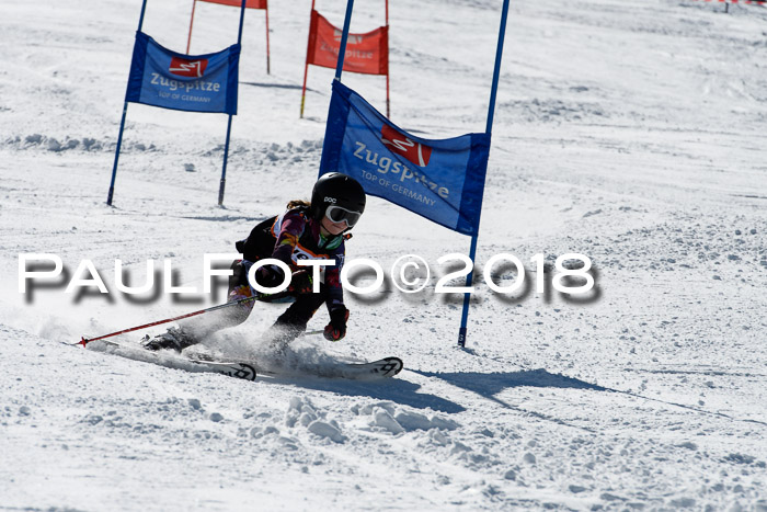 Ziener Cup WF, Finale, Quali + Parallelslalom, 24.03.2018