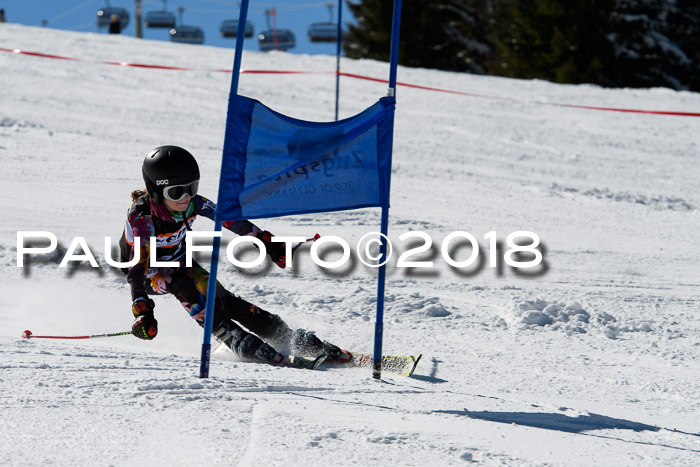 Ziener Cup WF, Finale, Quali + Parallelslalom, 24.03.2018