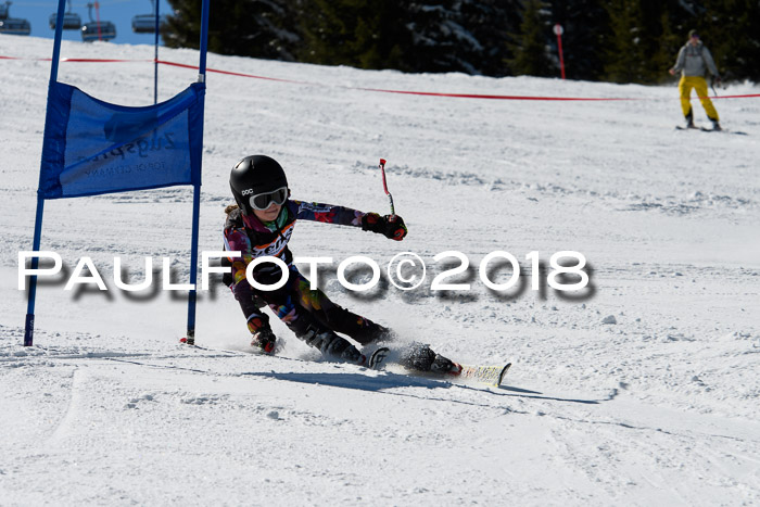 Ziener Cup WF, Finale, Quali + Parallelslalom, 24.03.2018