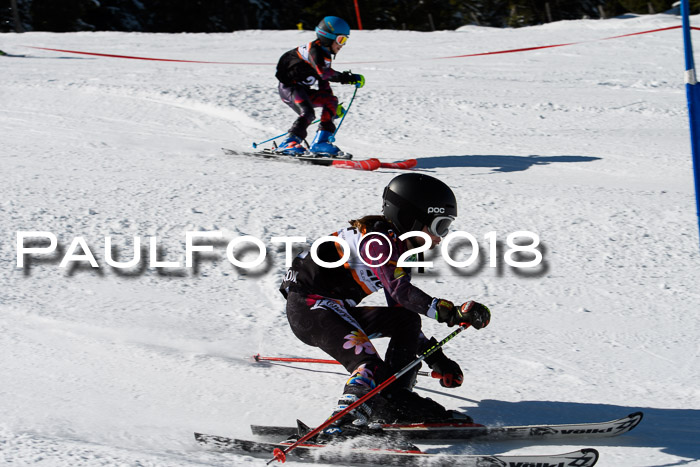 Ziener Cup WF, Finale, Quali + Parallelslalom, 24.03.2018
