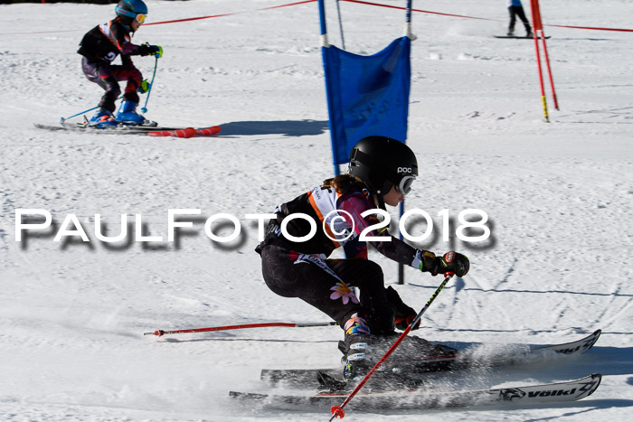 Ziener Cup WF, Finale, Quali + Parallelslalom, 24.03.2018