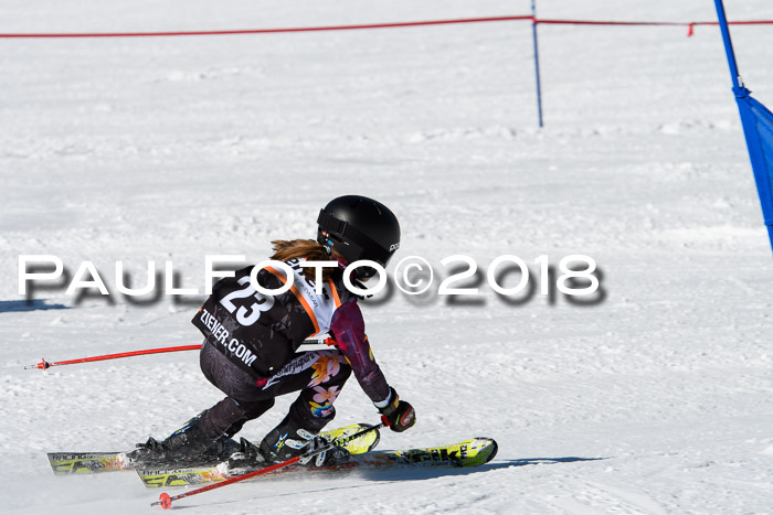 Ziener Cup WF, Finale, Quali + Parallelslalom, 24.03.2018