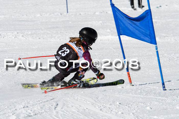 Ziener Cup WF, Finale, Quali + Parallelslalom, 24.03.2018