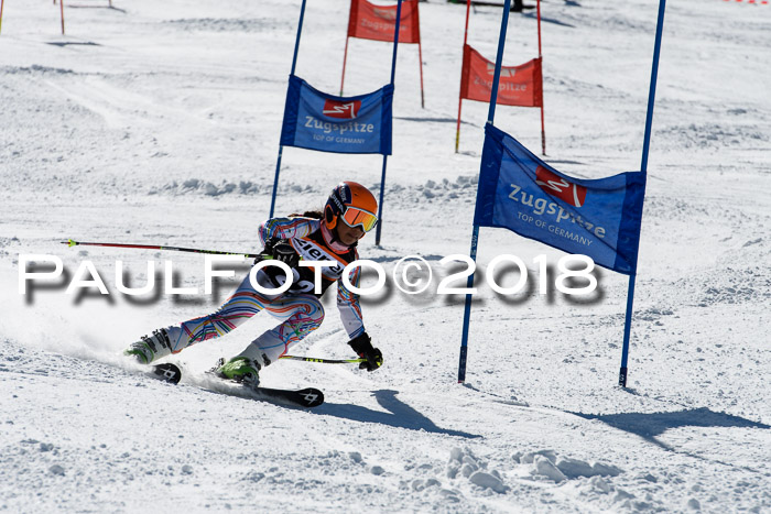 Ziener Cup WF, Finale, Quali + Parallelslalom, 24.03.2018