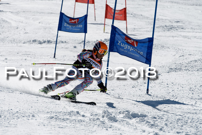 Ziener Cup WF, Finale, Quali + Parallelslalom, 24.03.2018