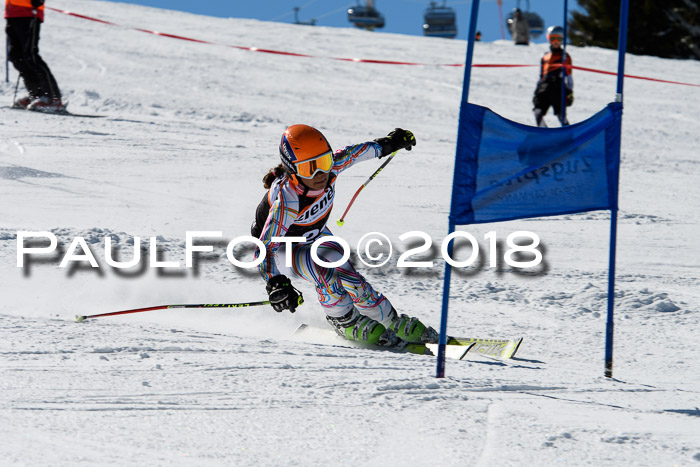 Ziener Cup WF, Finale, Quali + Parallelslalom, 24.03.2018