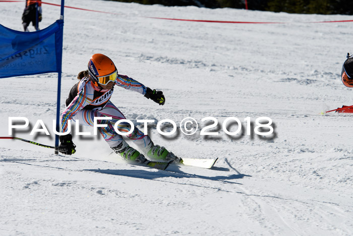 Ziener Cup WF, Finale, Quali + Parallelslalom, 24.03.2018