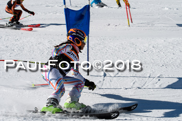 Ziener Cup WF, Finale, Quali + Parallelslalom, 24.03.2018
