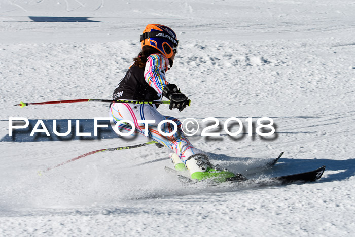 Ziener Cup WF, Finale, Quali + Parallelslalom, 24.03.2018