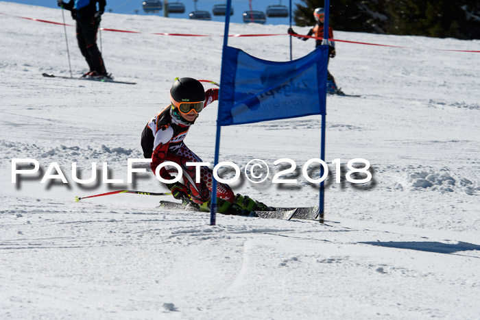 Ziener Cup WF, Finale, Quali + Parallelslalom, 24.03.2018
