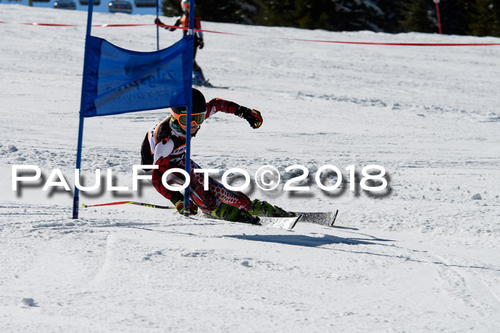 Ziener Cup WF, Finale, Quali + Parallelslalom, 24.03.2018