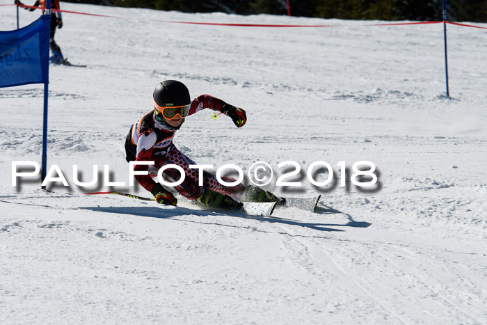 Ziener Cup WF, Finale, Quali + Parallelslalom, 24.03.2018