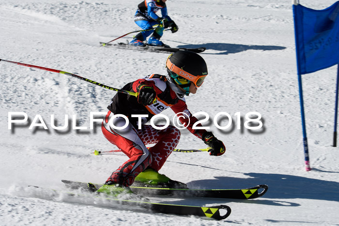 Ziener Cup WF, Finale, Quali + Parallelslalom, 24.03.2018
