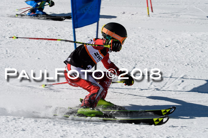 Ziener Cup WF, Finale, Quali + Parallelslalom, 24.03.2018