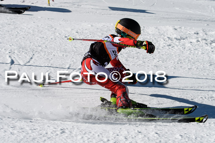 Ziener Cup WF, Finale, Quali + Parallelslalom, 24.03.2018