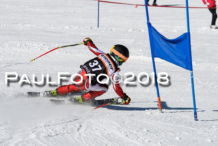 Ziener Cup WF, Finale, Quali + Parallelslalom, 24.03.2018