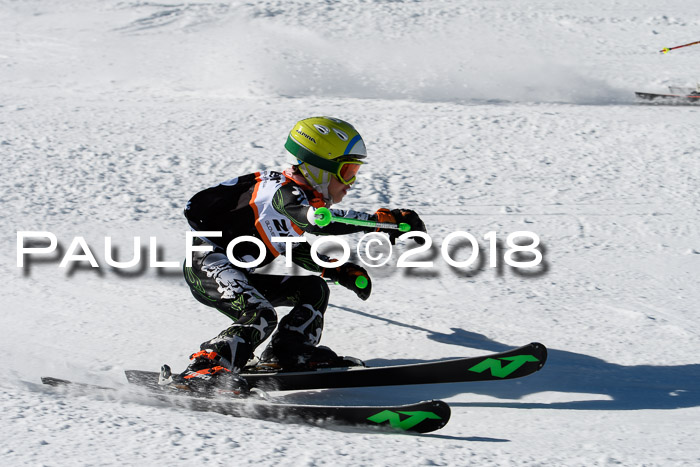 Ziener Cup WF, Finale, Quali + Parallelslalom, 24.03.2018