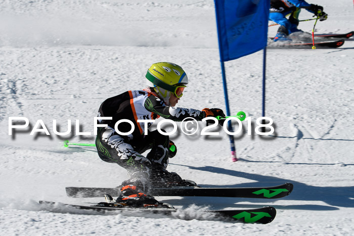 Ziener Cup WF, Finale, Quali + Parallelslalom, 24.03.2018
